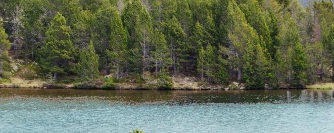 Pyrénées-Orientales