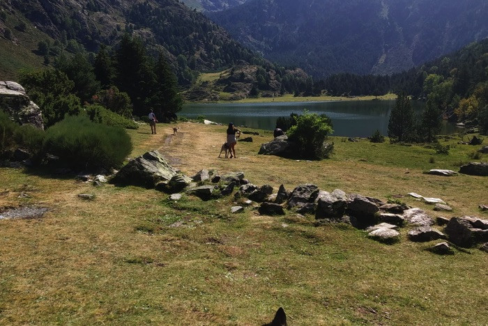 Cani-Rando - Pyrénées Orientales (66)