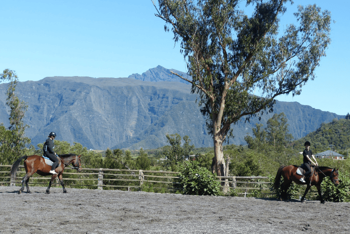 Cours d'équitation individuel - Le Tampon - Réunion