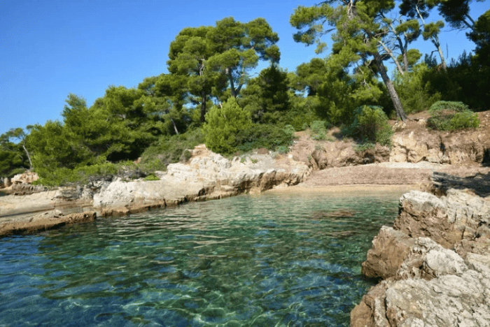Excursion privée - Journée - Entre Saint-Tropez & Cap Taillat