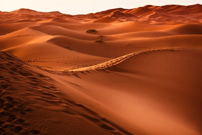 Stage de pilotage 4x4 "Spécifique Sable" 7 jours - Maroc
