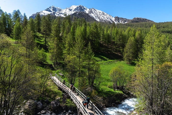 Stage de survie dans la vallée de Barcelonnette - Proche Gap