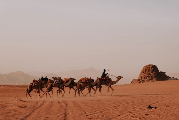 Stage de survie dans le Wadi Rum - Jordanie