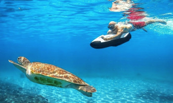 Randonnée Aquatique avec moniteur en Seabob - Pointe Noire - Guadeloupe