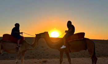 Balade à dos de Chameau au Crépuscule - Désert d'Agafay - proche Marrakech 