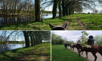 Randonnée à cheval semi-nocturne à Roiffe proche de Saumur – Vienne