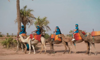 Balade à dos de Chameau - Désert Palmeraie - Marrakech 