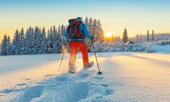Balade en Raquettes à Neige - Grand Ballon en Alsace 