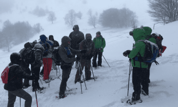 Balade en Raquettes à Neige Nocturne - Découverte du ciel étoilé - Markstein en Alsace 