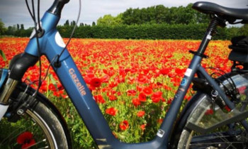 Balade touristique en vélo électrique à la découverte de Bonnieux