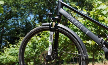 Balade touristique en vélo électrique - Vaison la Romaine