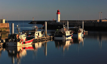 Vol Aventure Journée en ULM - Île d'Oléron