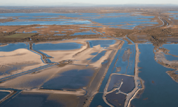 Baptême et Initiation ULM - Petite Camargue - 1h15