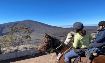 Randonnée à Cheval - Le Tampon - Réunion