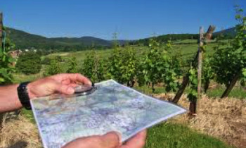 Course d'Orientation - Saint-Antonin-Noble-Val (82)