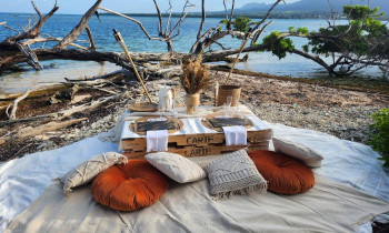Évasion romantique à 2 en ULM Hydravion + repas sur une Île - Guadeloupe 