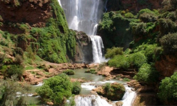 Excursion Cascades d'Ouzoud - proche de Marrakech 