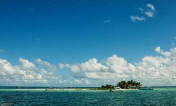 Ecotour dans le Grand Cul-de-sac marin - Guadeloupe