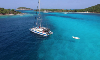 Journée Catamaran- Snorkeling, Tortue, Plongée - Grande Anse d'Arlet, Martinique