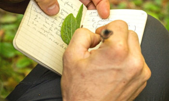 Journée Cueillette sauvage et botanique - Franche Comté
