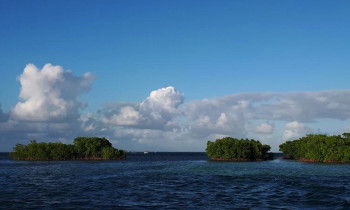 Journée adulte - L'ilet Caret - Guadeloupe - 1p