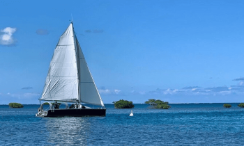 Journée Voilier - Snorkeling - Padle - Lagon - Guadeloupe