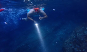 Snorkeling de nuit et bioluminescence - Martinique