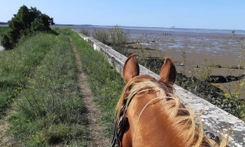 Randonnée à cheval - Saint-Vivien-de-Médoc proche Bordeaux
