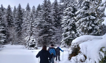 Randonnée en Raquettes à Neige - Morzine