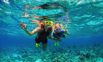 Randonnée palmée Snorkeling à Saint-Cyprien