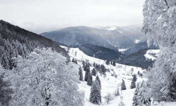 Randonnée en Raquettes à Neige - Forêt Noire en Allemagne