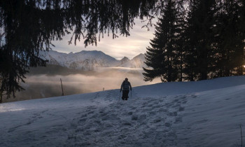 Balade en raquettes à neige et observation de la faune à Praz-de-Lys