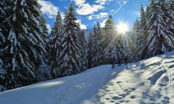 Balade en raquettes à neige Le Grand Bornand