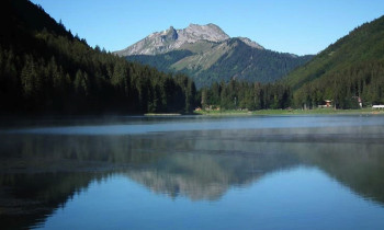 Randonnée pédestre et observation de la faune - Le Grand Bornand