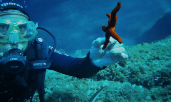 Plongée d'exploration sous-marine à Ajaccio en Corse