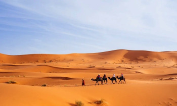 Stage de survie entre Oasis & Dune au Sahara - Maroc