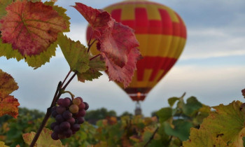 Vol exclusif en Montgolfière DUO Bourgogne - Beaune