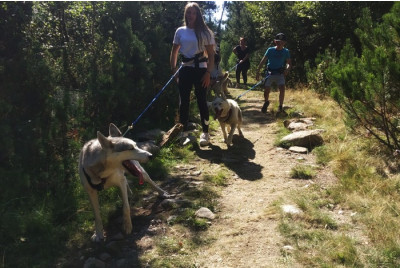 Cani-Rando - Pyrénées Orientales (66)