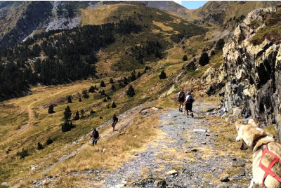 Cani-Rando - Pyrénées Orientales (66)