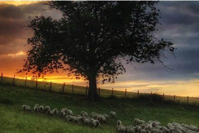 Road-Trip en Van Combi - Tour Sur Mesure au Pays Basque 