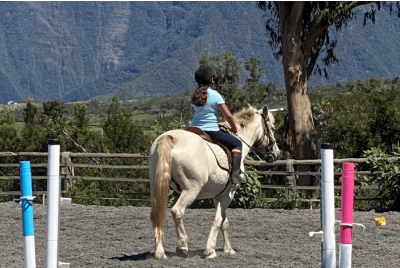 Cours d'équitation individuel - Le Tampon - Réunion
