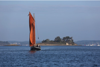 Croisière en vedette dans le Golfe du Morbihan - Circuit 50km - F1