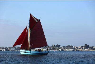 Croisière en vedette dans le Golfe du Morbihan - Circuit 50km - F1