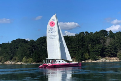 Demi-journée en Catamaran dans la Baie de Concarneau - Finistère