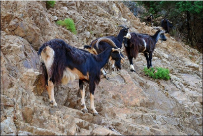Excursion en 4x4 privative sur mesure - Corse