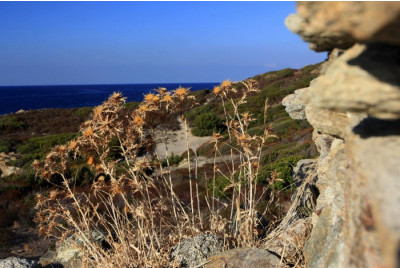 Excursion en 4x4 privative sur mesure - Corse