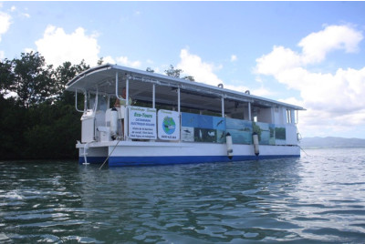 Ecotour dans le Grand Cul-de-sac marin - Guadeloupe