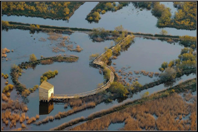Circuit-découverte en Camargue éco 4x4 hydrogène et toit ouvrant 