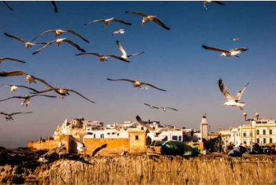 Excursion Touristique à Essaouira - au départ de Marrakech - Maroc 