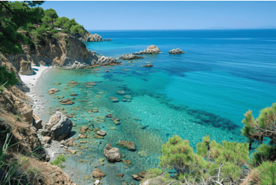 Excursion privée - Journée - Entre Saint-Tropez & Cap Taillat